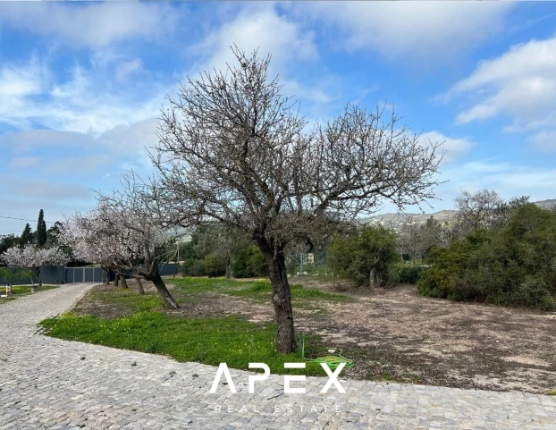 5 bedroom Private New Villa for Long Term Rental in Santa Barbara De Nexe