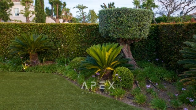 Quinta Verde villa for Rent